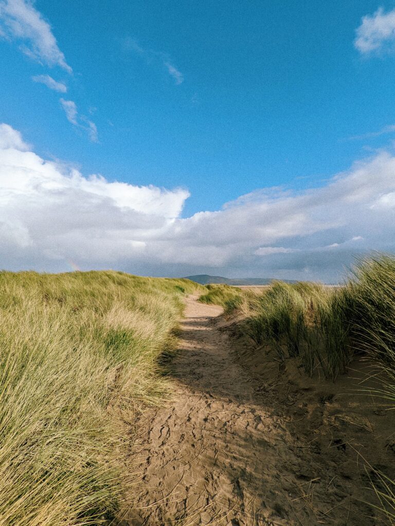 Swansea City beach grass